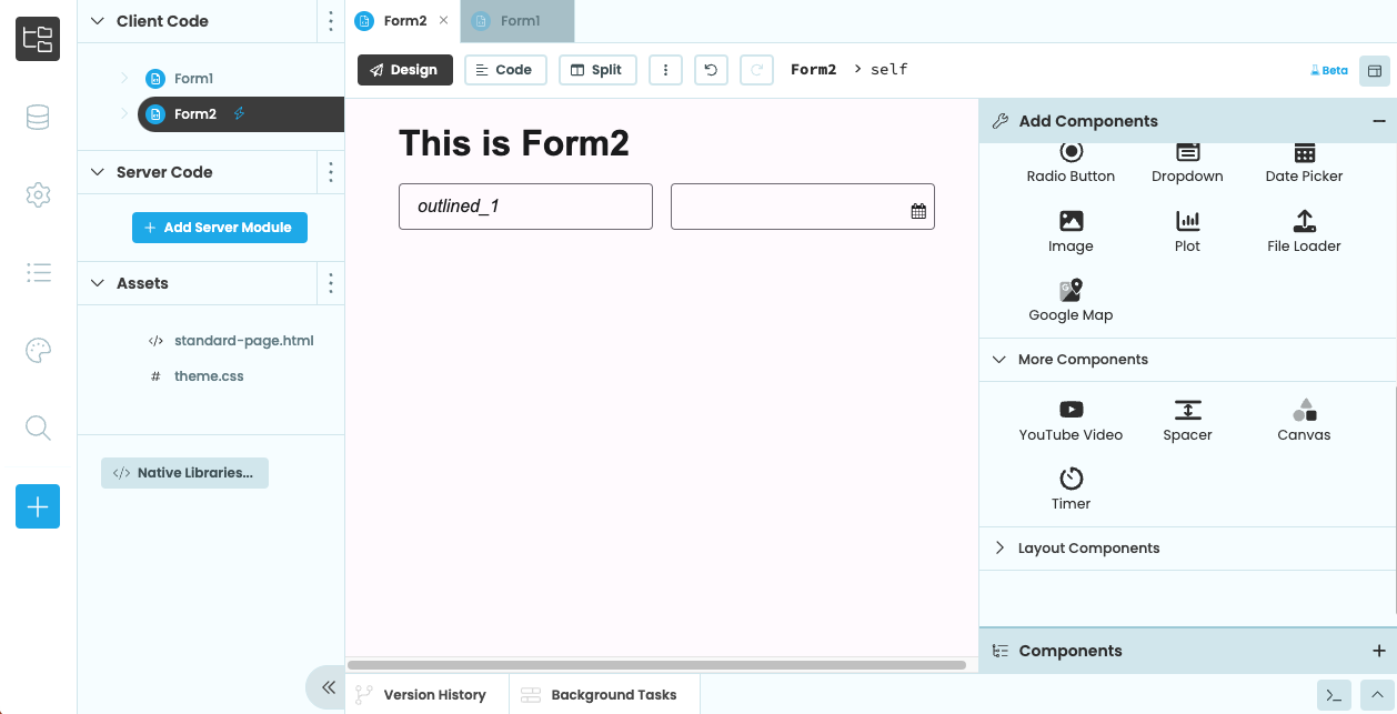 A Blank Panel Form in the Design View with a Label and an Image in.